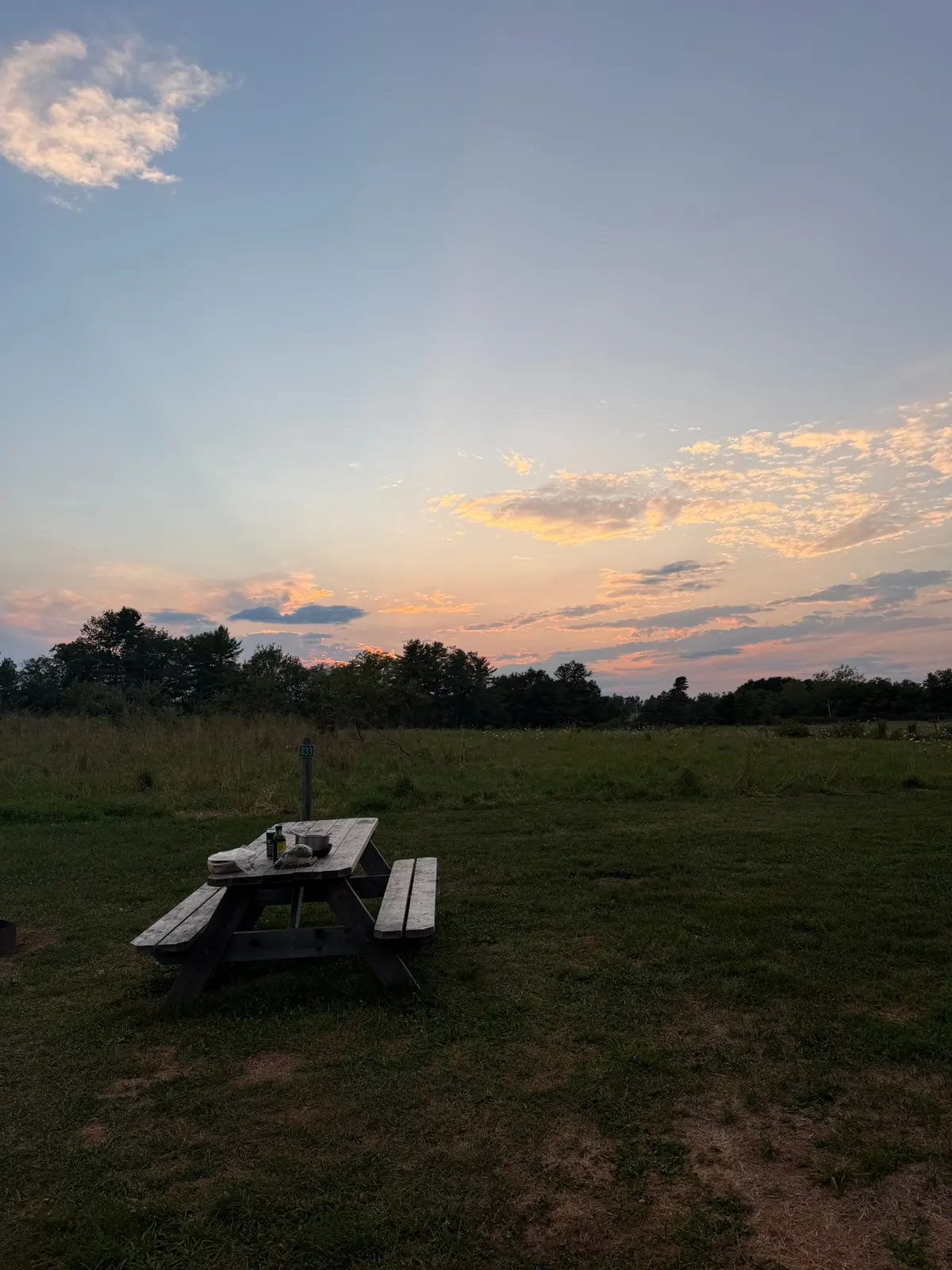 A picnic table in a mown field at sunset, with a line of trees behind