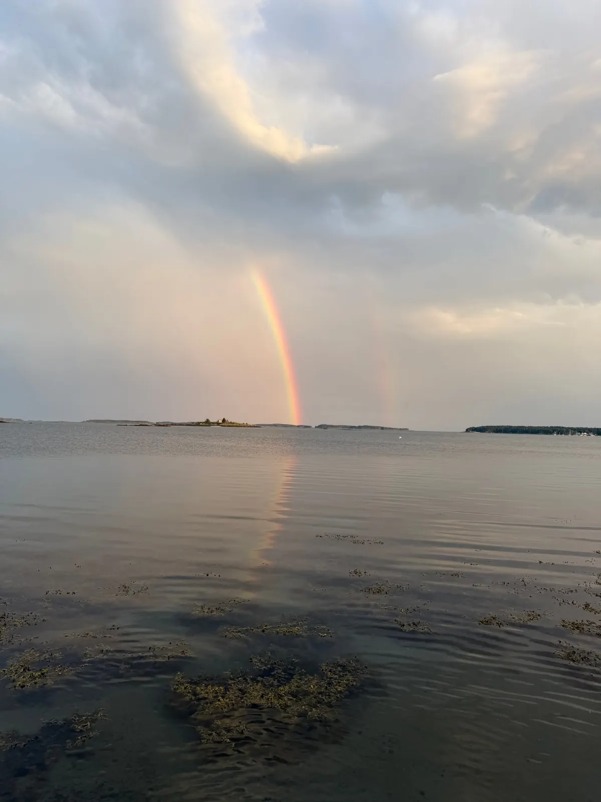 A rainbow meeting calm water in a bay, under soft grey and peach clouds