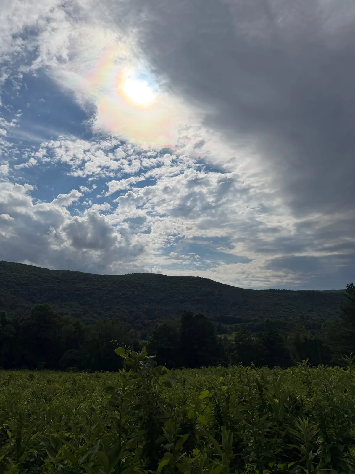 Sun breaking through cloud with a faint rainbow ring, above a dark wooded ridge and a green field